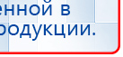 СКЭНАР-1-НТ (исполнение 01)  купить в Ишимбае, Аппараты Скэнар купить в Ишимбае, Скэнар официальный сайт - denasvertebra.ru